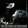 The Hedgehog's Dilemma: Why Do Humans Crave Intimacy | by