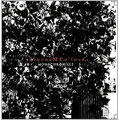 TOWER RECORDS ONLINE㤨inthenaMEoflove/MONOCHRONICLE[SKK-001]פβǤʤ1,572ߤˤʤޤ