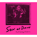 サン・オブ・デイヴ ［CD+DVD］