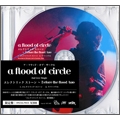 エレクトリック ストーン～Before the flood two＜初回生産限定盤/タワーレコード限定＞