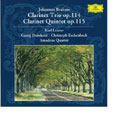 ブラームス:クラリネット三重奏曲作品114・クラリネット五重奏曲作品115