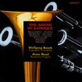 The Sound of Baroque - Frescobaldi, Rosenmuller, Walther, etc / Wolfgang Basch, Jesse Read, etc
