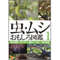 虫・ムシ おもしろ図鑑 1 森の忍者!ナナフシ～驚きいっぱい!巨大昆虫