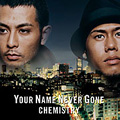 YOUR NAME NEVER GONE / Now or Never / You Got Me