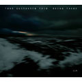 Tord Gustavsen Trio/Being There[1723517]