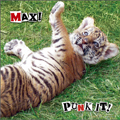 PUNK IT! MAX! LIMITED EDITION ［CD+DVD］＜限定盤＞