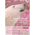 カメラマン岩合光昭　極北を撮る　ＤＶＤ－ＢＯＸ