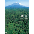 樹海 富士が創った不思議の森