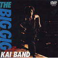 THE BIG GIG<期間限定盤> THE BIG GIG<期間限定盤>