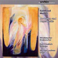 G.Muller:Motet & Organ Works -Pfingstpartita/Und kam gen Nazareth/Passionspartita/etc:Karl-Friedrich Beringer(cond)/Windsbacher Knabenchor/etc G.Muller:Motet & Organ Works -Pfingstpartita/Und kam gen Nazareth/Passionspartita/etc:Karl-Friedrich Beringer(cond)/Windsbacher Knabenchor/etc