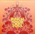 Pinch Your Soul : 2nd Remix Album ［CD+DVD］