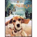 ビーグル犬 シャイロー特別版- ビーグル犬 シャイロー特別版-