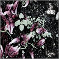 TOWER RECORDS ONLINE㤨COCKER SPANIEL/ƻα[PFCA-19]פβǤʤ1,650ߤˤʤޤ