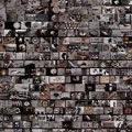 TOWER RECORDS ONLINE㤨dill/OPERA[EWBE-18]פβǤʤ2,410ߤˤʤޤ