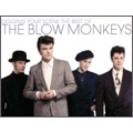Digging Your Scene (The Best Of The Blow Monkeys)