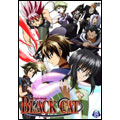 BLACK CAT Vol.9
