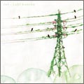 TOWER RECORDS ONLINE㤨yuki kaneko/rut[MABR-009]פβǤʤ1,980ߤˤʤޤ