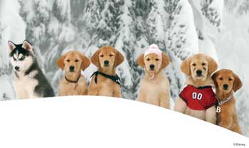 スノー・バディーズ 小さな5匹の大冒険 スノー・バディーズ 小さな5匹の大冒険