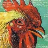 Watery, Domestic (EP)