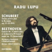 28枚組CD-BOX ラドゥ ルプー Radu Lupu Complete Recordings - CD