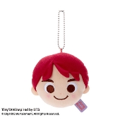 TinyTAN/ぬいぐるみミラー/Jung Kook