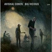 Avishai Cohen Big Vicious