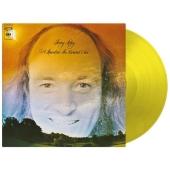 Terry Riley (テリー・ライリー)『In C＜ゴールド・ヴァイナル
