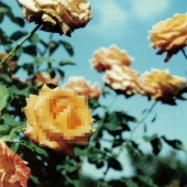 Relation＜初回生産限定盤＞