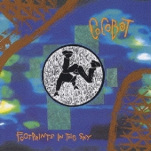 FOOT PRINTS IN THE SKY