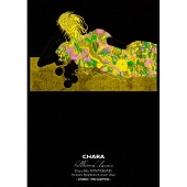 Chara｜ライブBlu-ray&DVD『billboard classics Chara 30th 