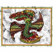 MUZICAL PHOENIX [CD+DVD+グッズ]＜完全生産限定盤＞