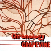 プラチナムベスト GRAPEVINE～Chronology