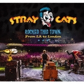 Stray Cats（ストレイ・キャッツ）｜ネオ・ロカビリーの雄、活動再開後