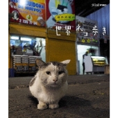 『岩合光昭の世界ネコ歩き』Blu-rayu0026DVDが一般発売開始 - TOWER RECORDS ONLINE
