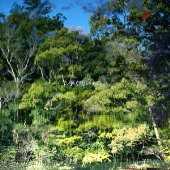 儚く脆いもの[CD+DVD]<初回限定盤>