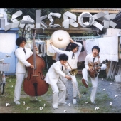 SAKEROCK Songs of Instrumental レコード SAKEROCK, JUNE, ハナレグミ, 山田里香, 蓮実重臣, SAKEROCK