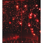 煌々/ホワイトランド＜初回生産限定盤＞