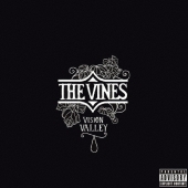 ヴィジョン・ヴァリィ