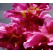 何度でも新しく生まれる [CD+DVD]