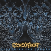 SEARCHING FOR CHANGE