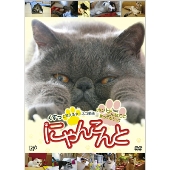 養老孟司先生の事務所を牛耳る スコ座り猫 まる のdvd Tower Records Online