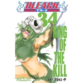 BLEACH -ブリーチ- 34
