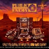 What You Gonna Do When The Grid Goes Down?