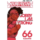 BLEACH―ブリーチ― 66