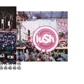 シューゲイズ～ドリーム・ポップ・バンドLush の4枚セットCD Lush（ラッシュ）｜シューゲイズ～ドリーム・ポップなアプローチ