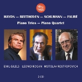 ハイドン、ベートーヴェン、シューマン、フォーレ: ピアノ三重奏&四重奏曲集