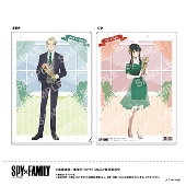SPY×FAMILY クリアファイル(A ロイド/ヨル)