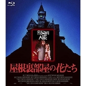 屋根裏部屋の花たち