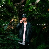 大幅値下げ‼GADORO 日本武道館 ライブDVD。宮崎限定ノベルティ GADORO 日本武道館 ライブDVD。宮崎限定ノベルティGADORO
