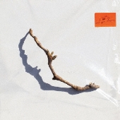 絶版 PJ Harvey 「The Hollow of the Hand」大型本 PJ Harvey 「The Hollow of the Hand」絶版 大型本｜本｜洋書